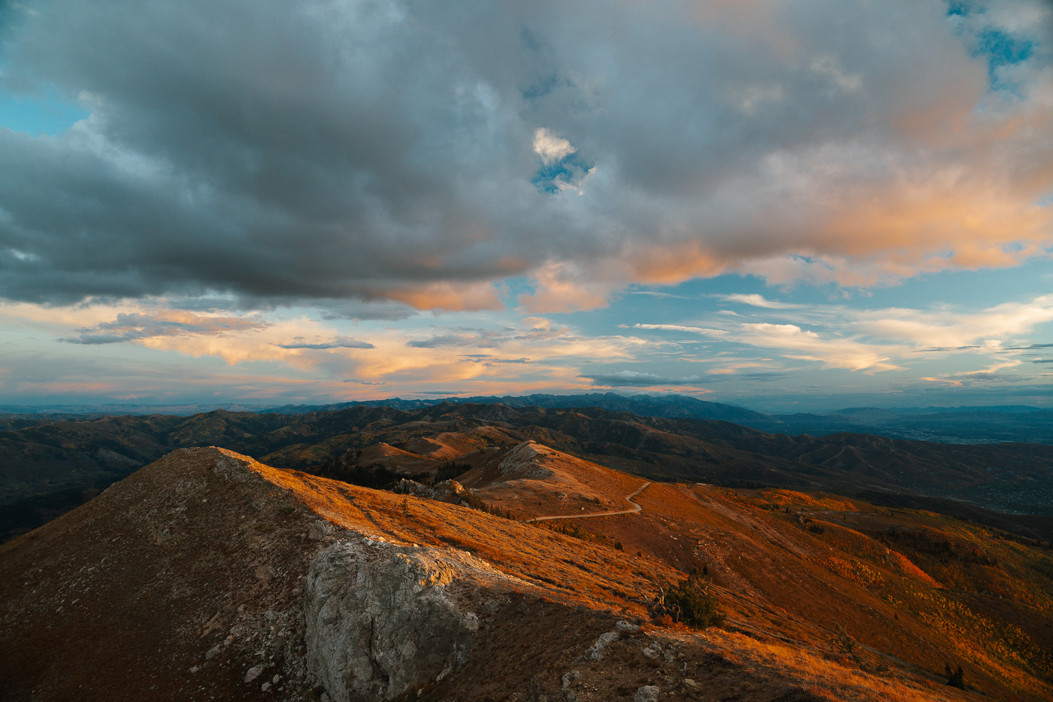 Landscape